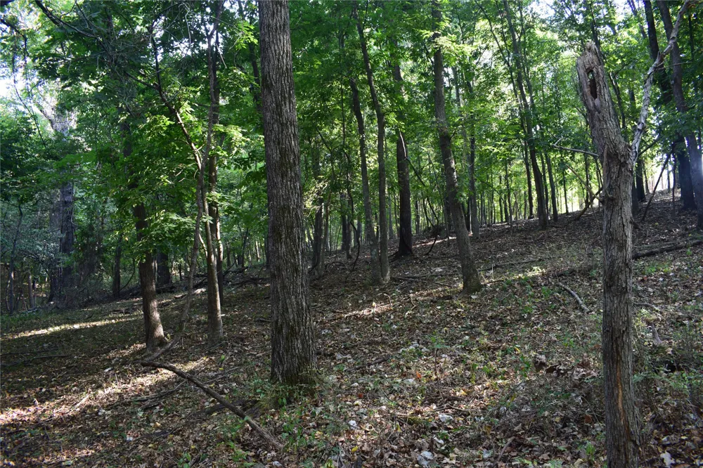 67451 E County Road 175 Road Wyandotte, OK 74370