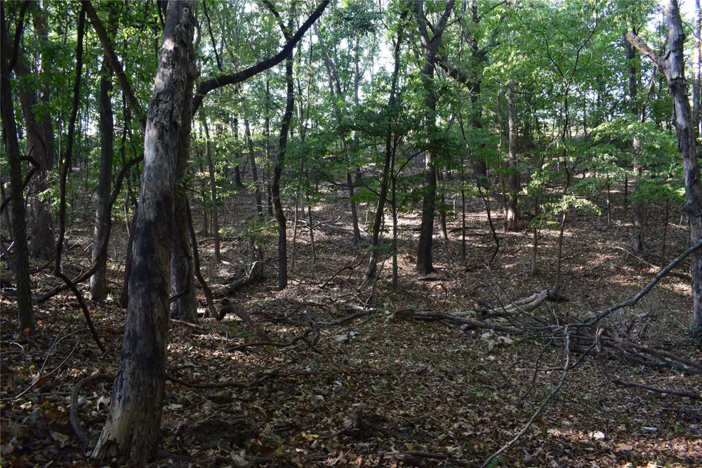 67451 E County Road 175 Road Wyandotte, OK 74370