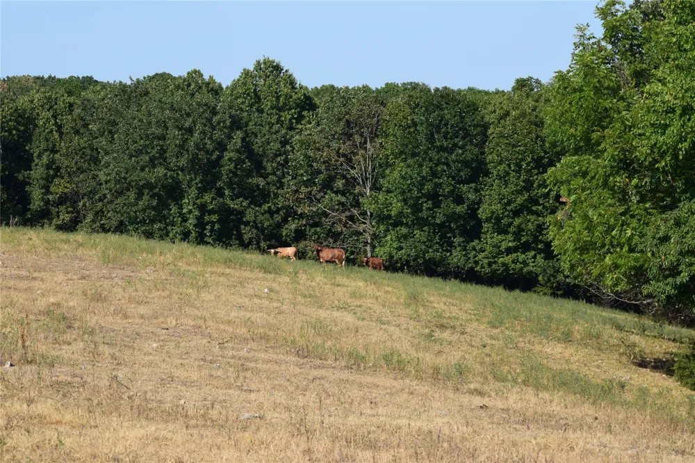 67451 E County Road 175 Road Wyandotte, OK 74370
