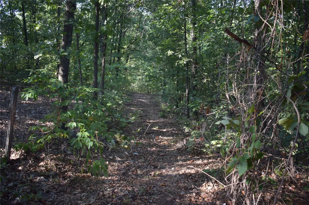 67451 E County Road 175 Road Wyandotte, OK 74370