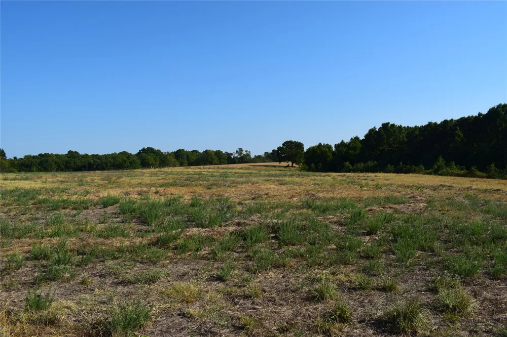 67451 E County Road 175 Road Wyandotte, OK 74370