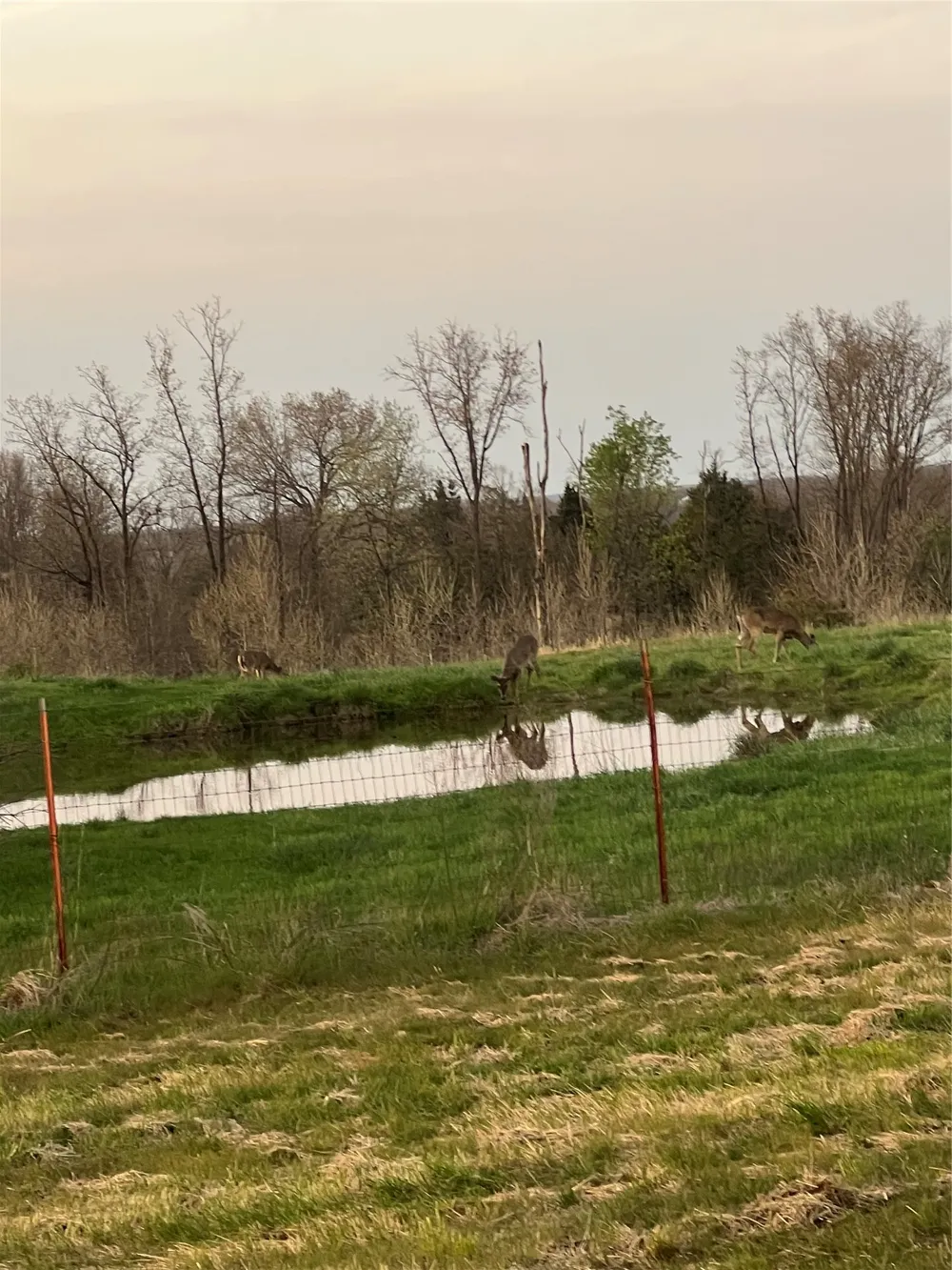 67451 E County Road 175 Road Wyandotte, OK 74370