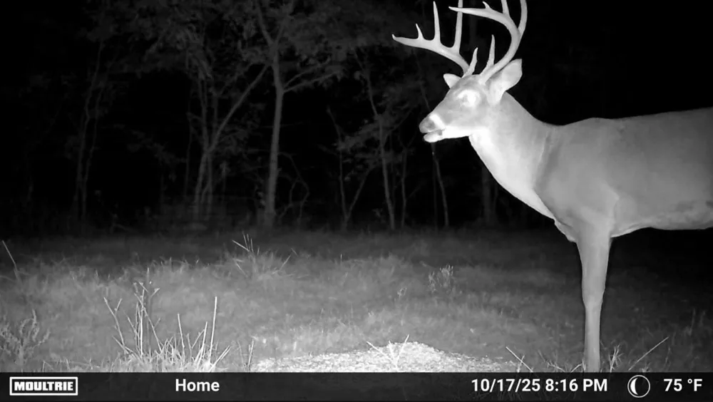 67451 E County Road 175 Road Wyandotte, OK 74370