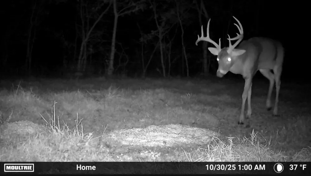 67451 E County Road 175 Road Wyandotte, OK 74370