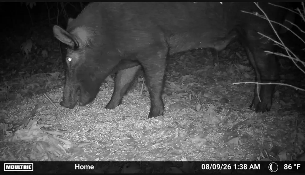 67451 E County Road 175 Road Wyandotte, OK 74370