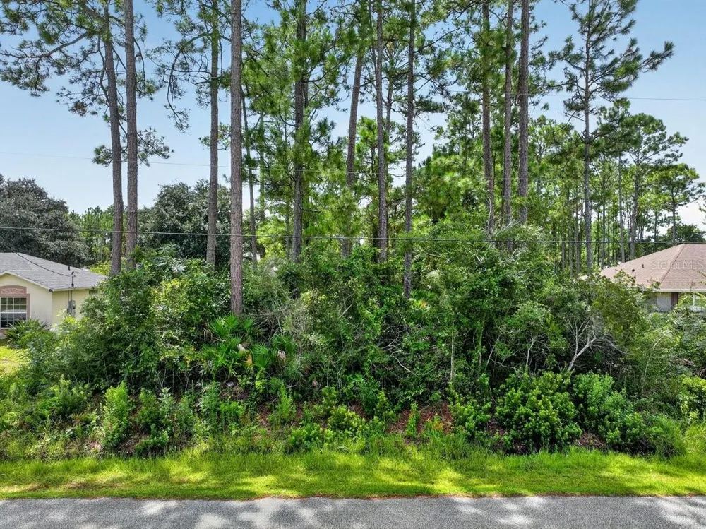 12 UNDERSHIRE PATH Palm Coast, FL 32164
