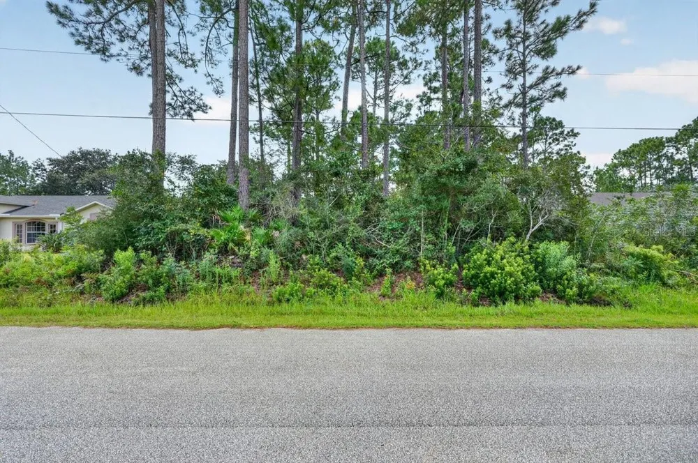 12 UNDERSHIRE PATH Palm Coast, FL 32164