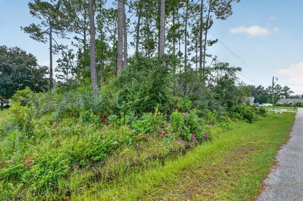 12 UNDERSHIRE PATH Palm Coast, FL 32164