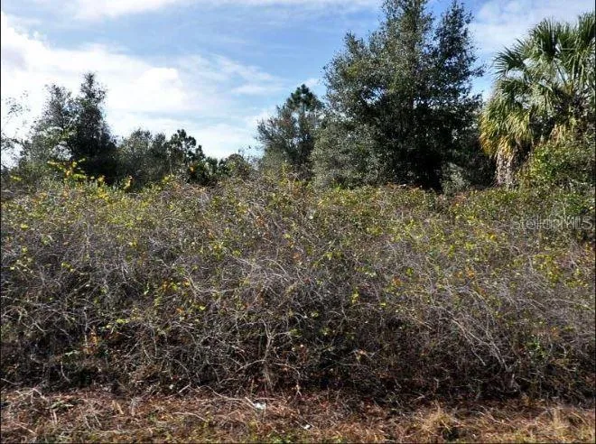 NEWMAN DRIVE North Port, FL 34288