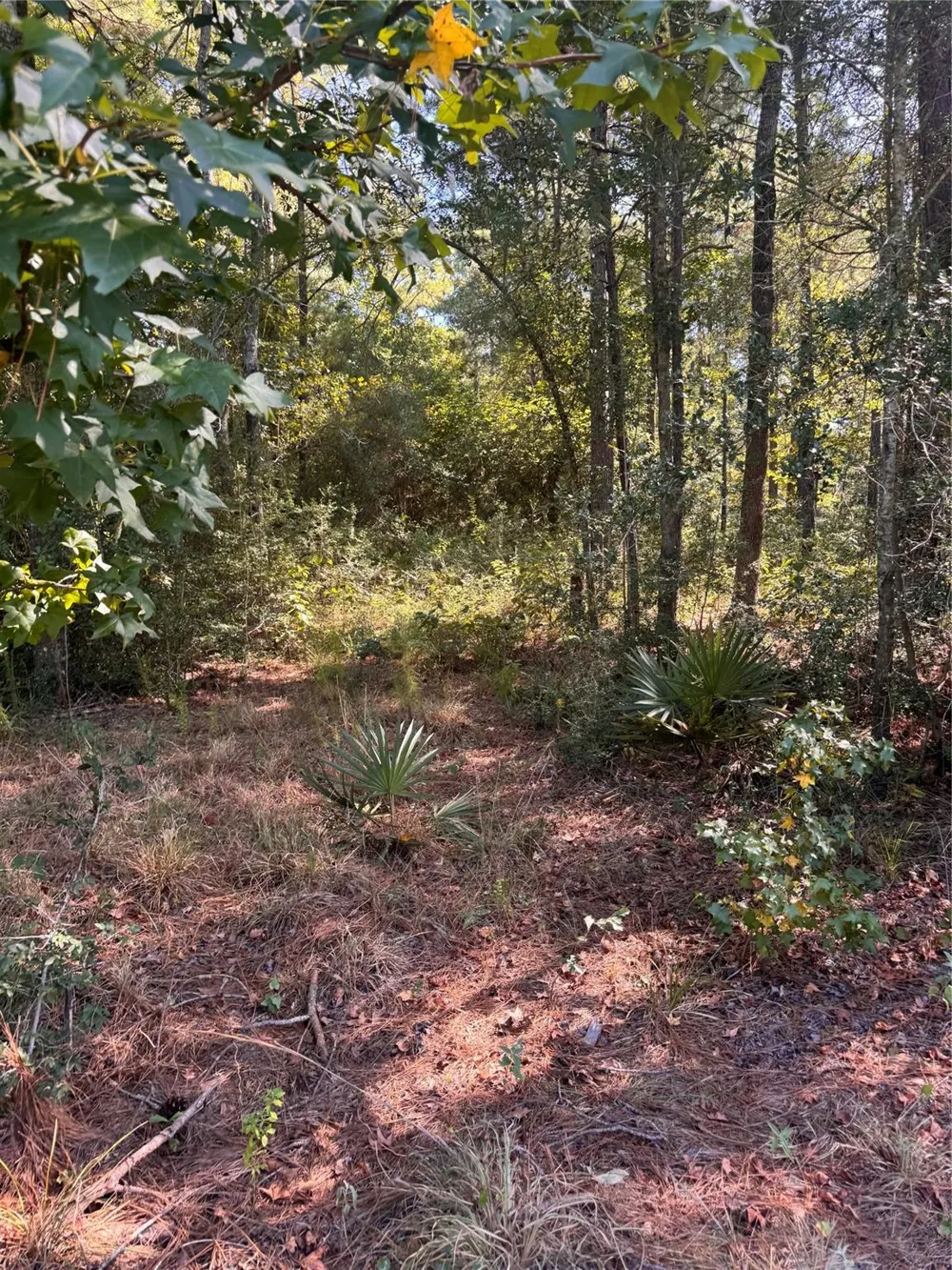 3 Fire Sky Rd, Huntsville, TX 77340