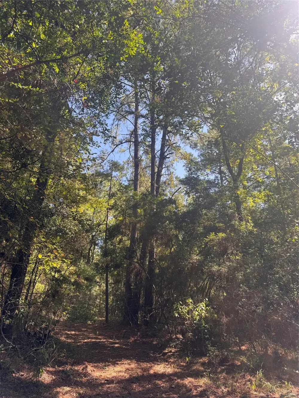 3 Fire Sky Rd, Huntsville, TX 77340