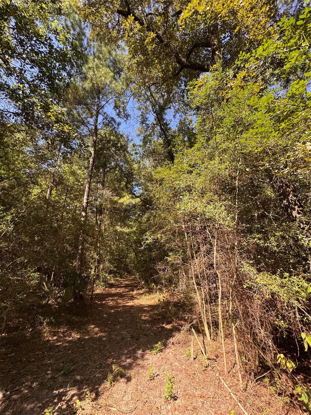 3 Fire Sky Rd, Huntsville, TX 77340