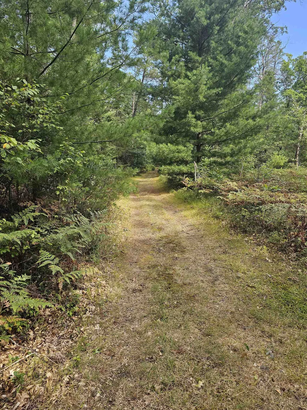 7282 Rollways Road Plainfield Township, MI 48761
