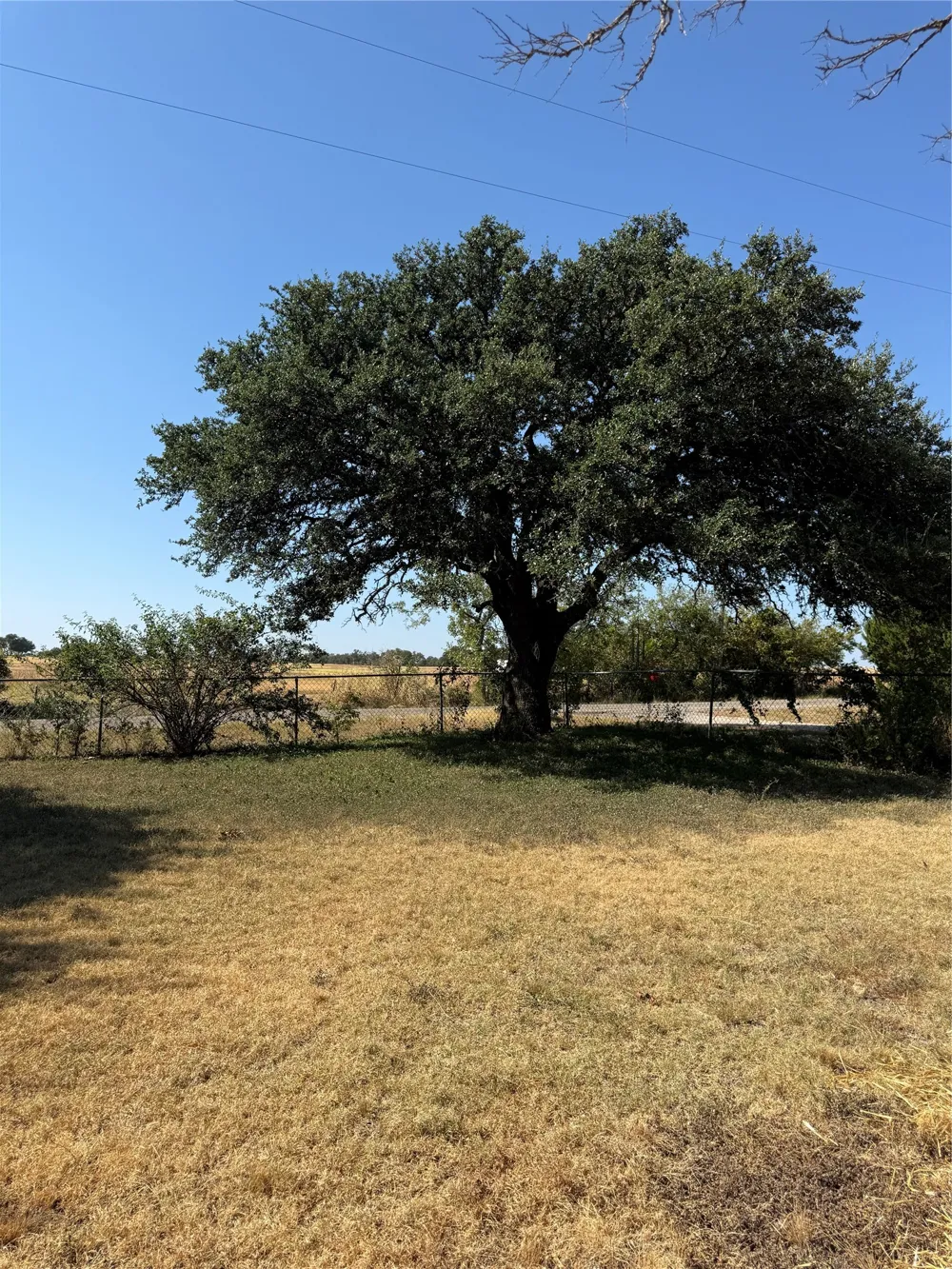 2950 CR 139 Bangs, TX 76823