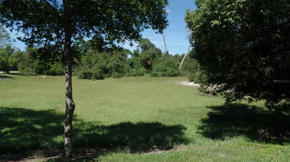 8057 DELAWARE DRIVE Weeki Wachee, FL 34607