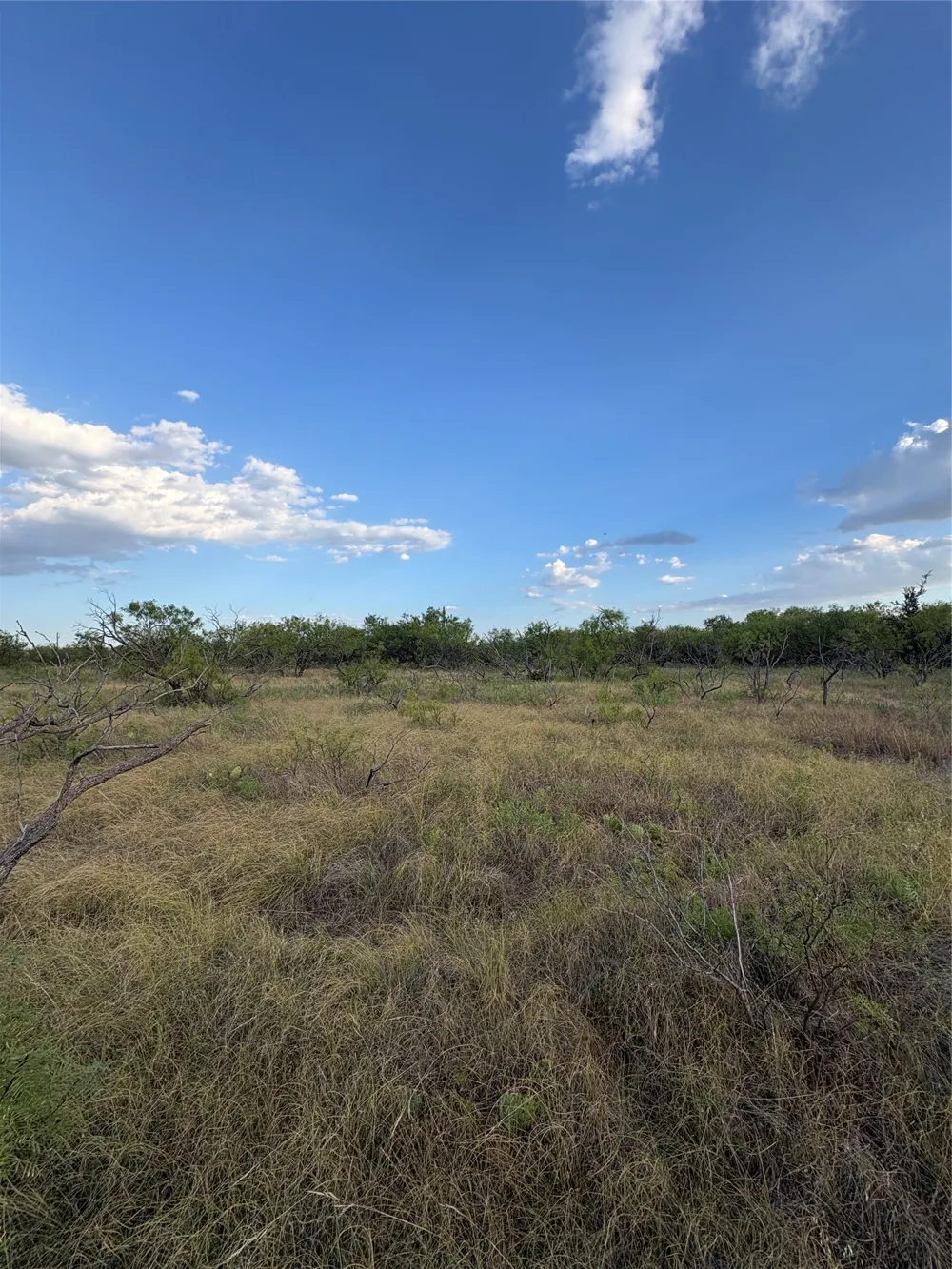 271 Wyatt Road Jacksboro, TX 76458