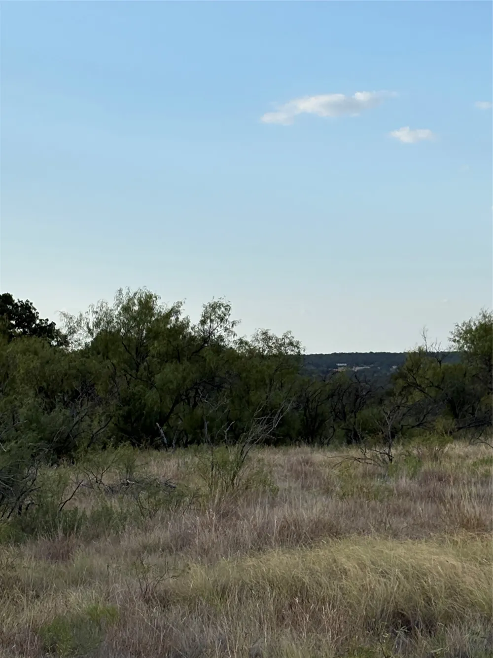 271 Wyatt Road Jacksboro, TX 76458