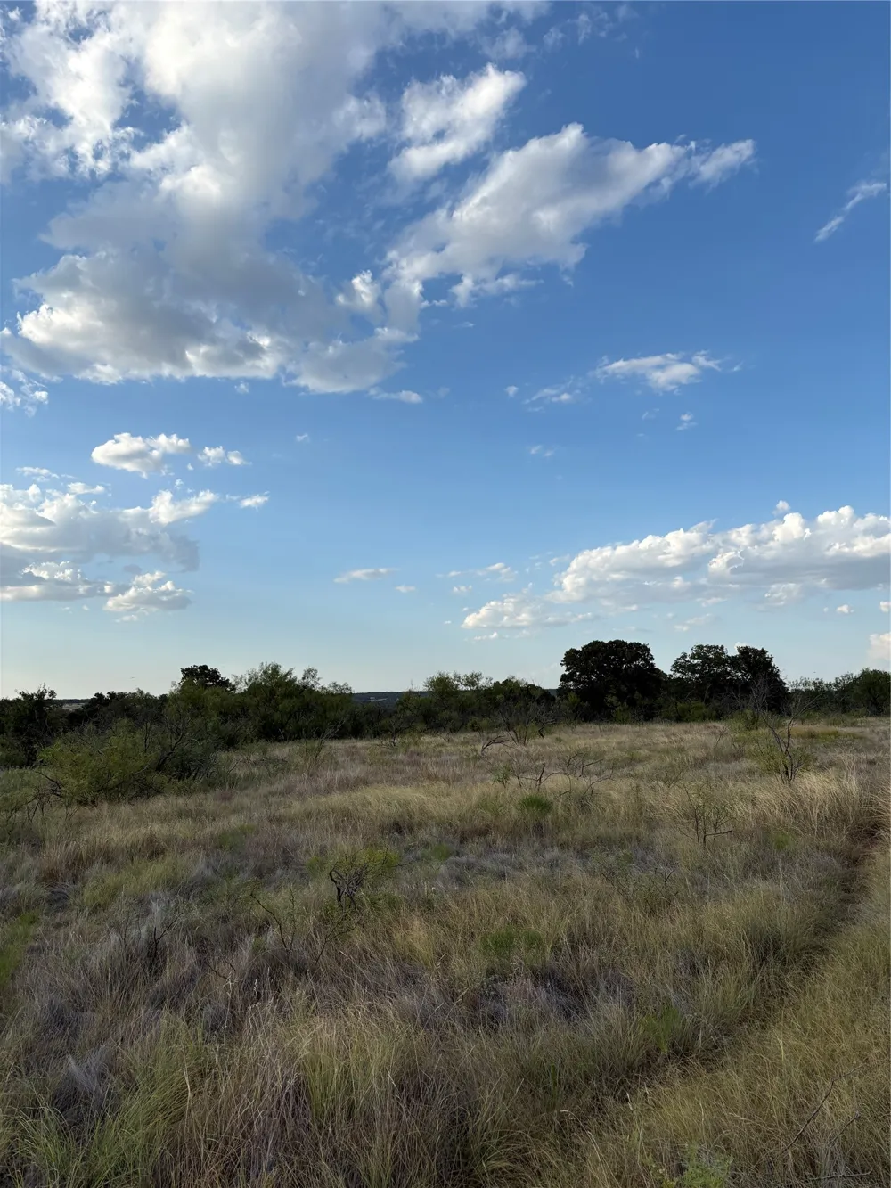 271 Wyatt Road Jacksboro, TX 76458