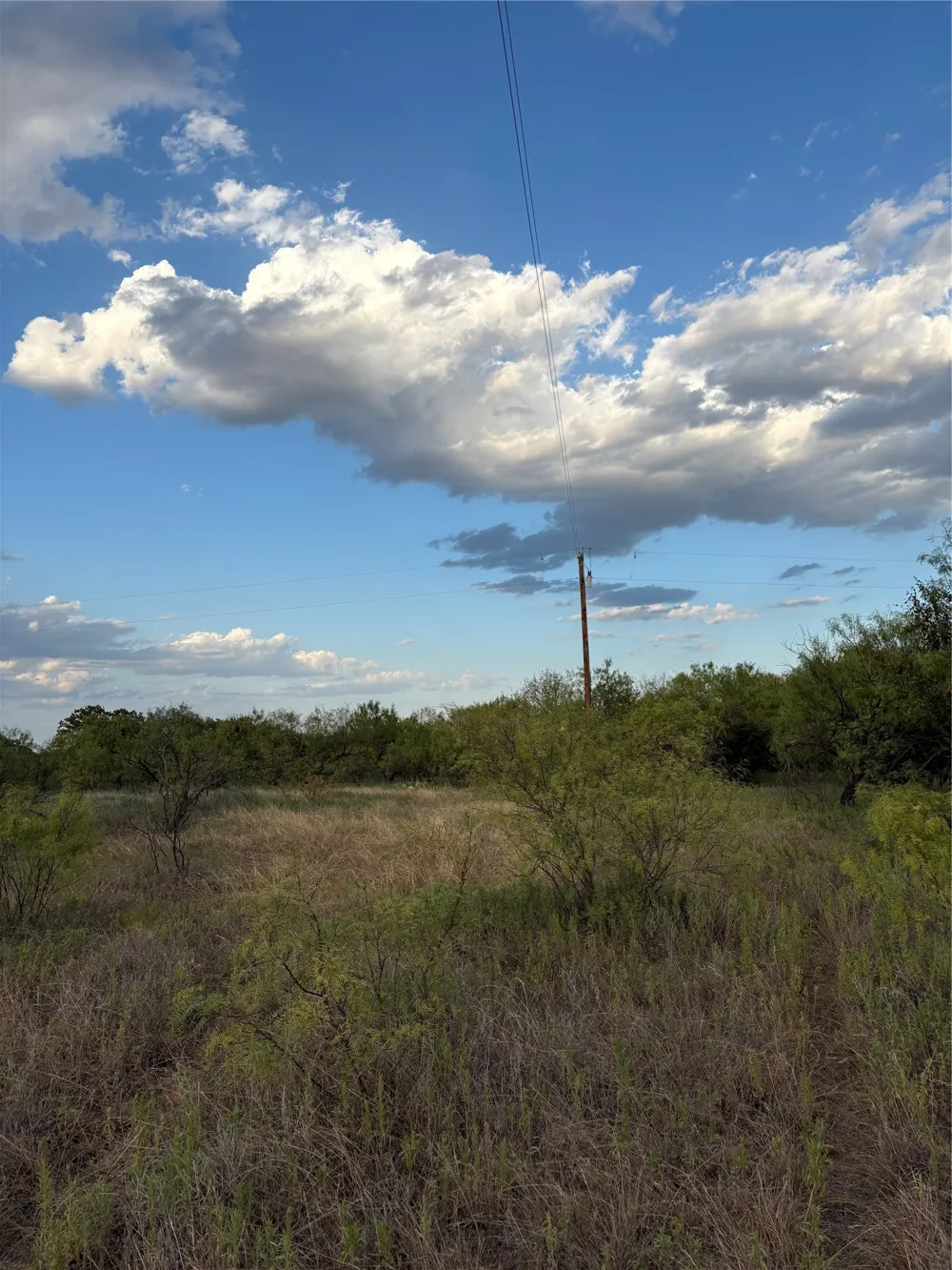 271 Wyatt Road Jacksboro, TX 76458