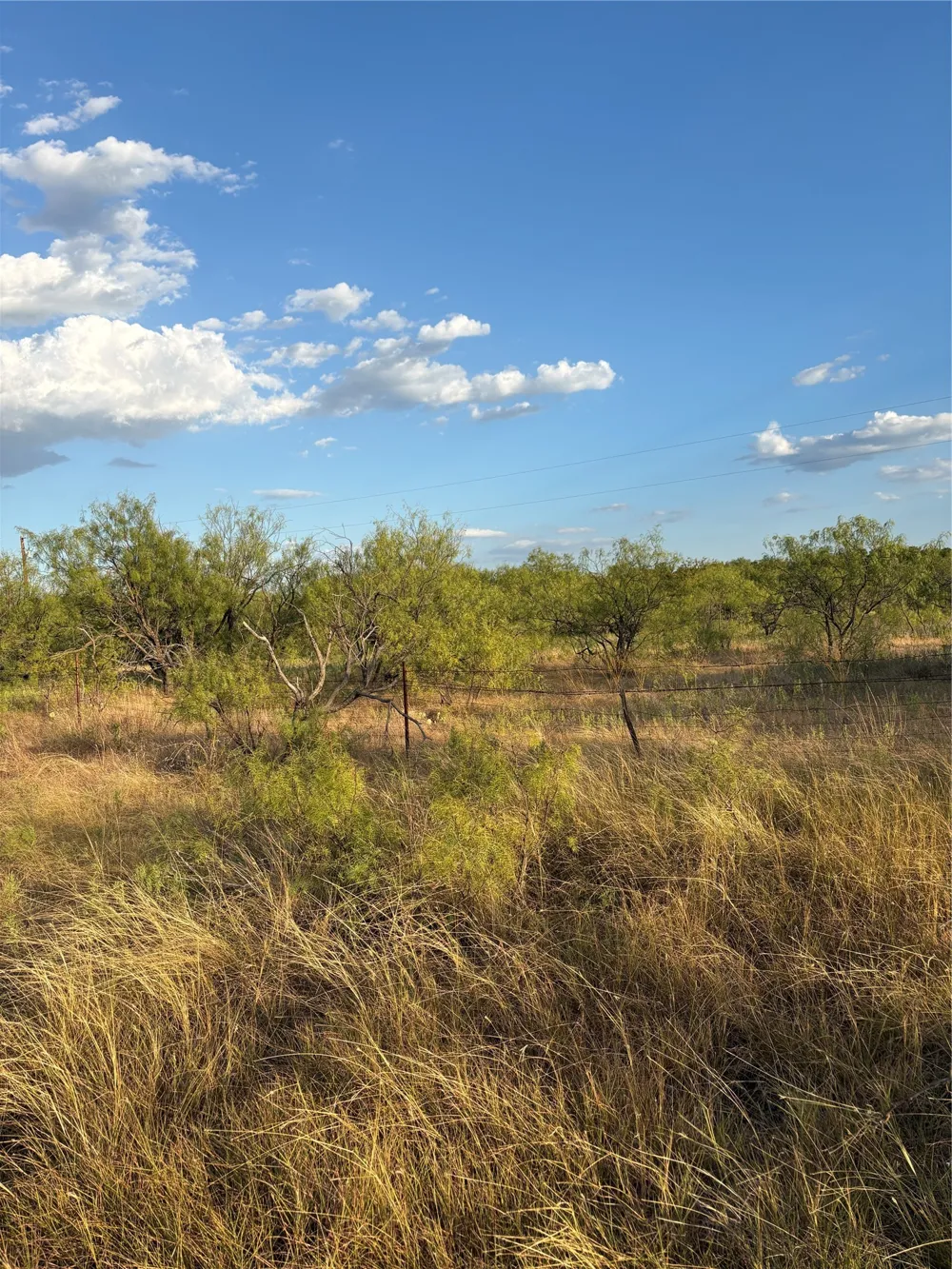 271 Wyatt Road Jacksboro, TX 76458