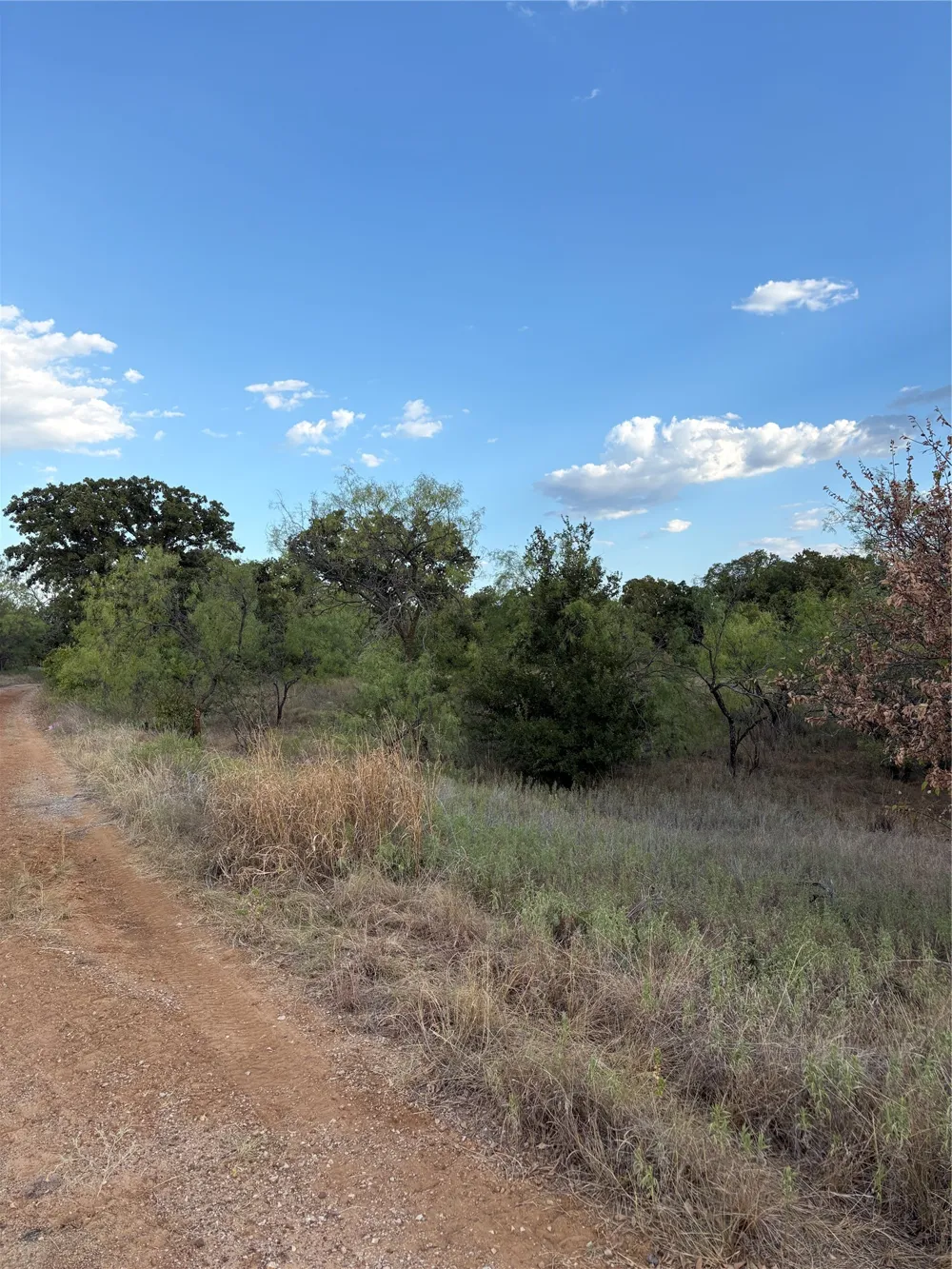 271 Wyatt Road Jacksboro, TX 76458