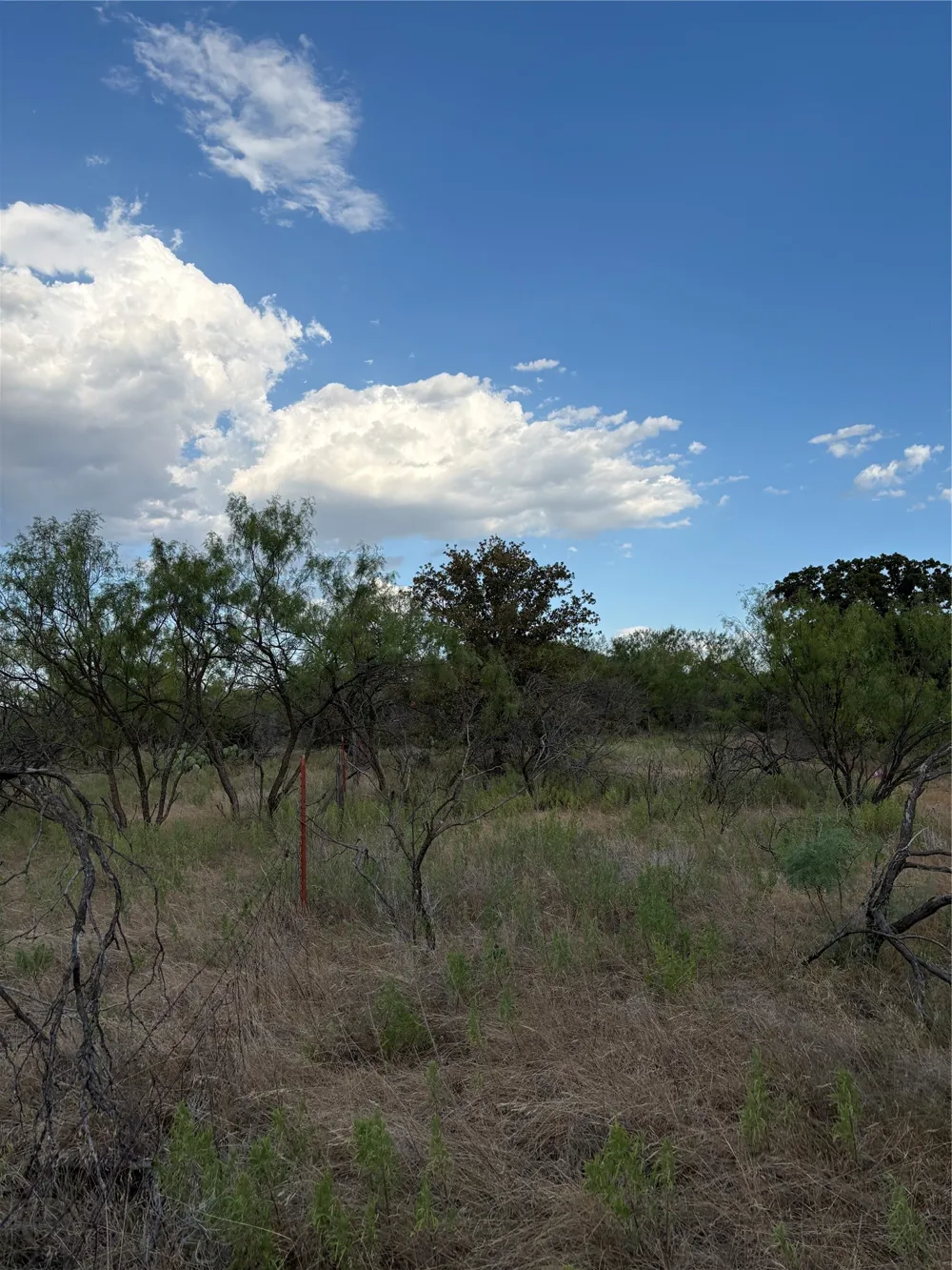 271 Wyatt Road Jacksboro, TX 76458