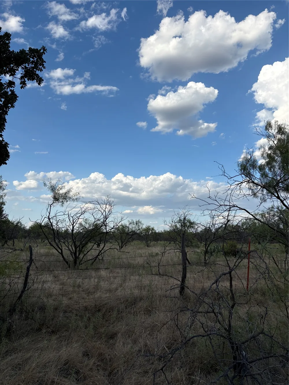 271 Wyatt Road Jacksboro, TX 76458