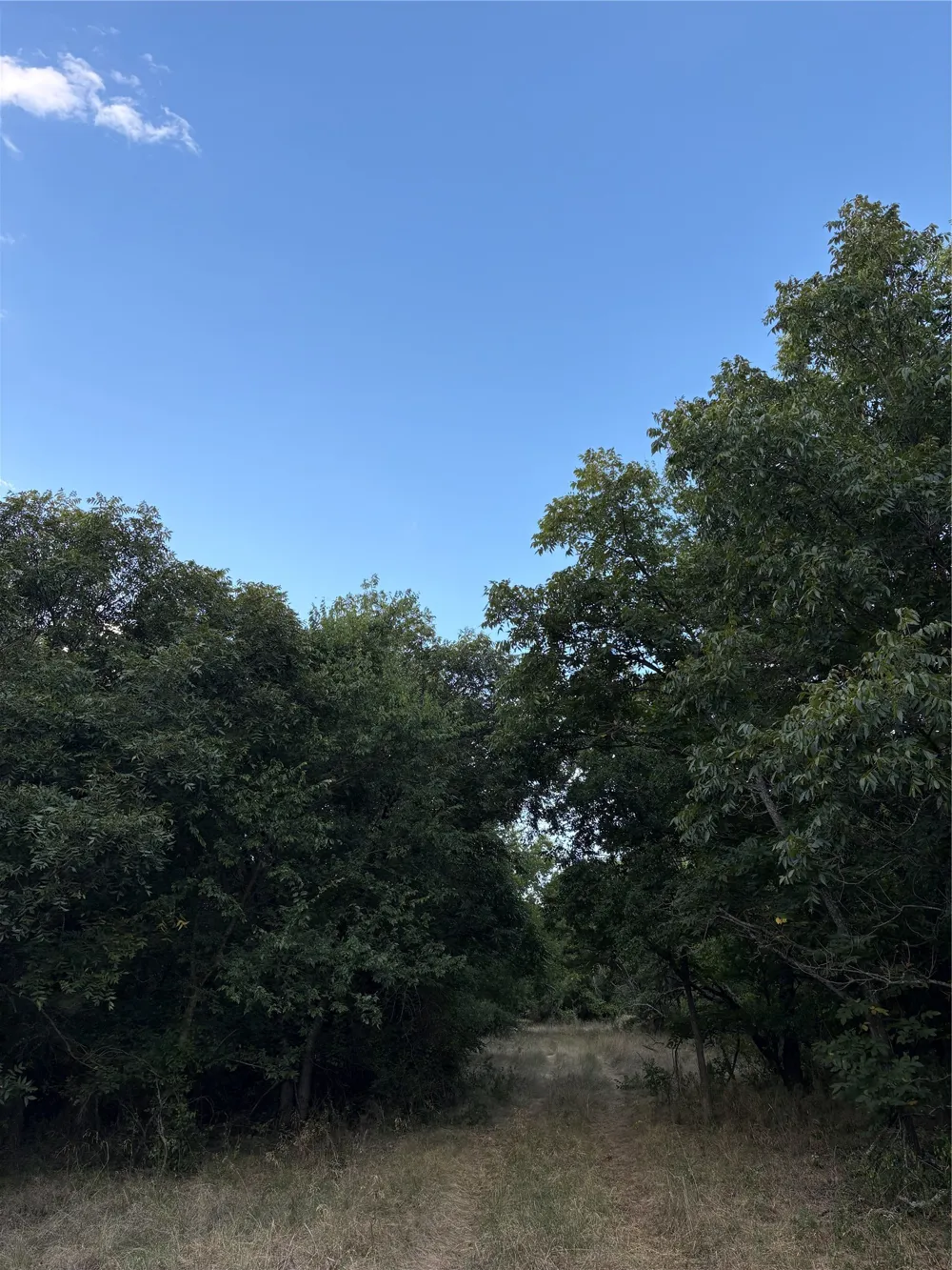 271 Wyatt Road Jacksboro, TX 76458