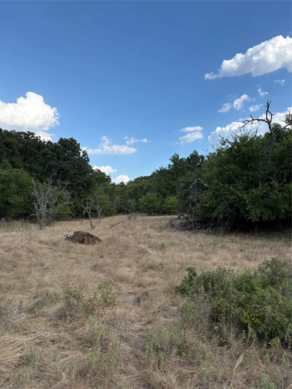271 Wyatt Road Jacksboro, TX 76458