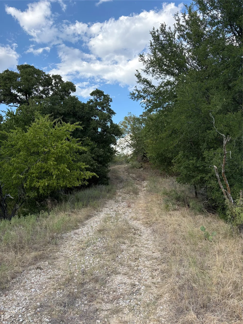 271 Wyatt Road Jacksboro, TX 76458