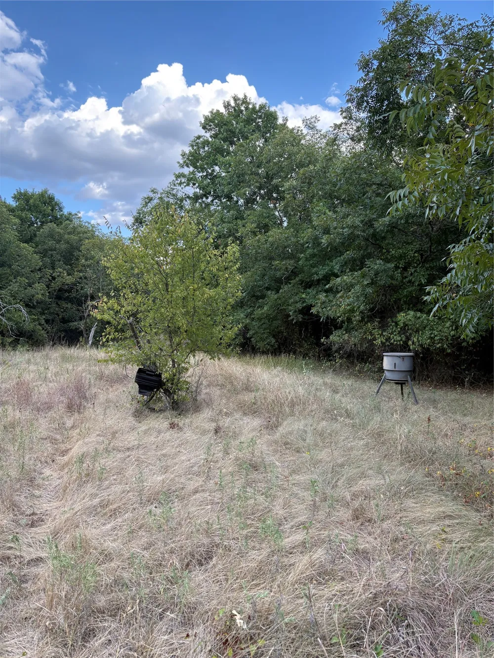 271 Wyatt Road Jacksboro, TX 76458