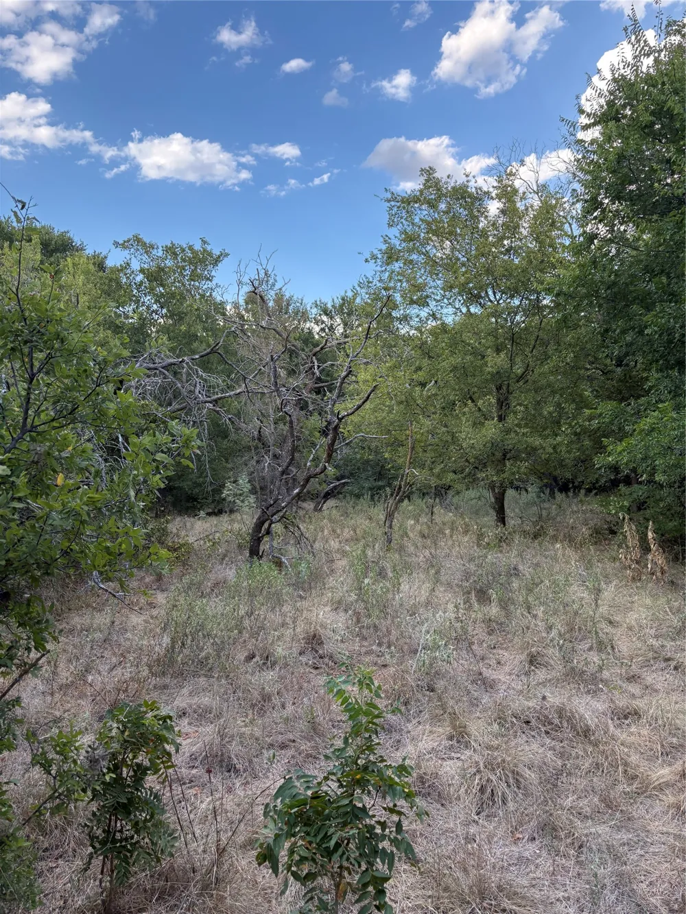 271 Wyatt Road Jacksboro, TX 76458