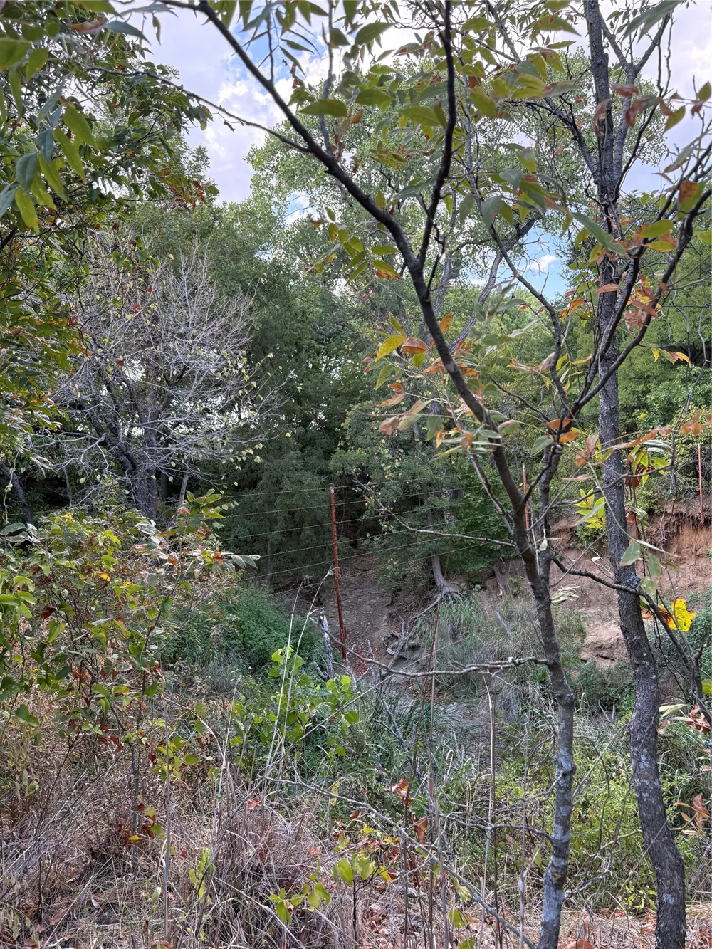 271 Wyatt Road Jacksboro, TX 76458