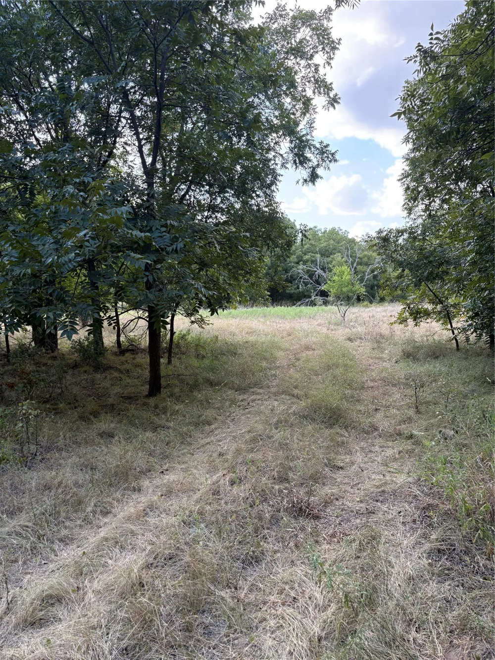 271 Wyatt Road Jacksboro, TX 76458