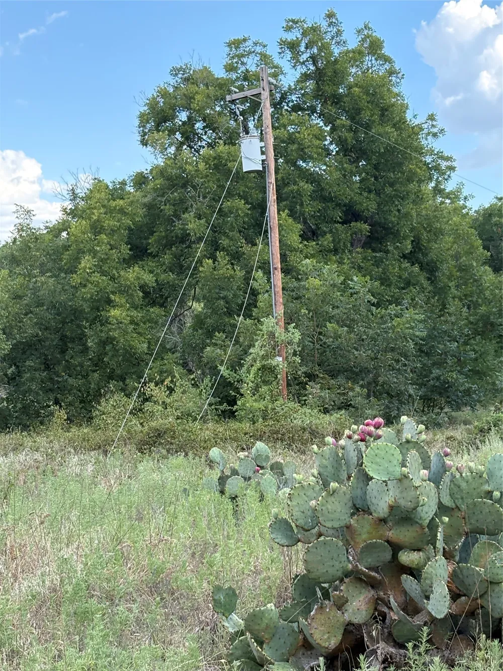 271 Wyatt Road Jacksboro, TX 76458
