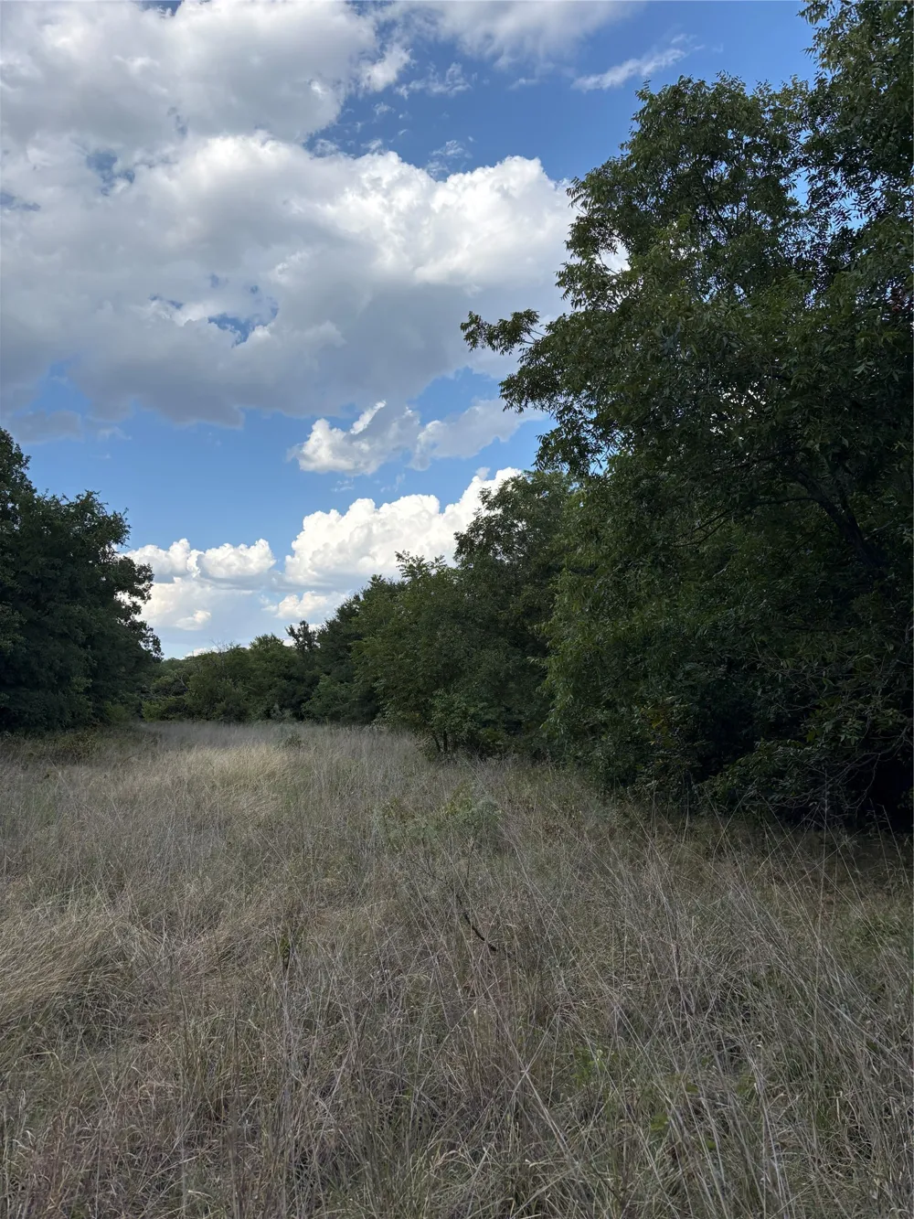 271 Wyatt Road Jacksboro, TX 76458