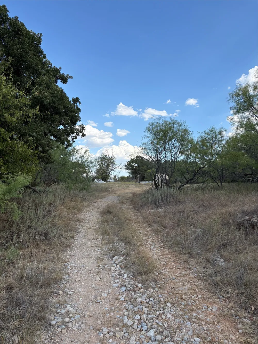 271 Wyatt Road Jacksboro, TX 76458