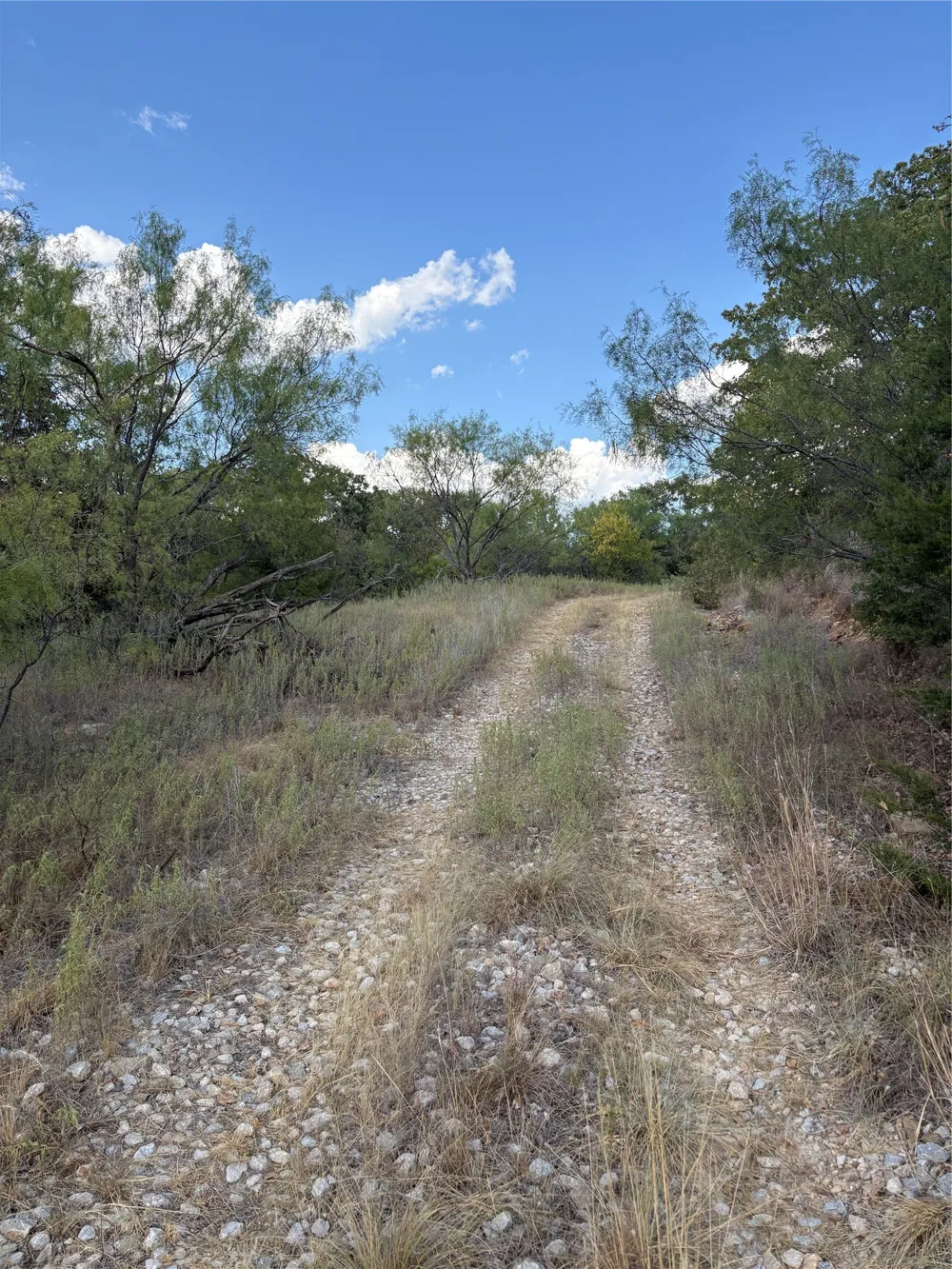 271 Wyatt Road Jacksboro, TX 76458