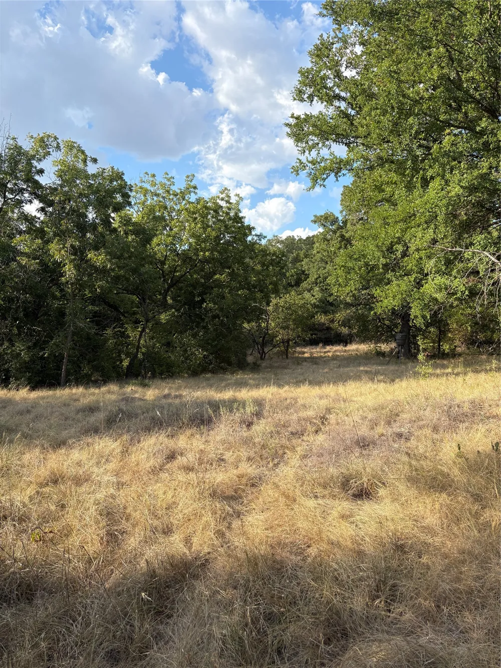 271 Wyatt Road Jacksboro, TX 76458