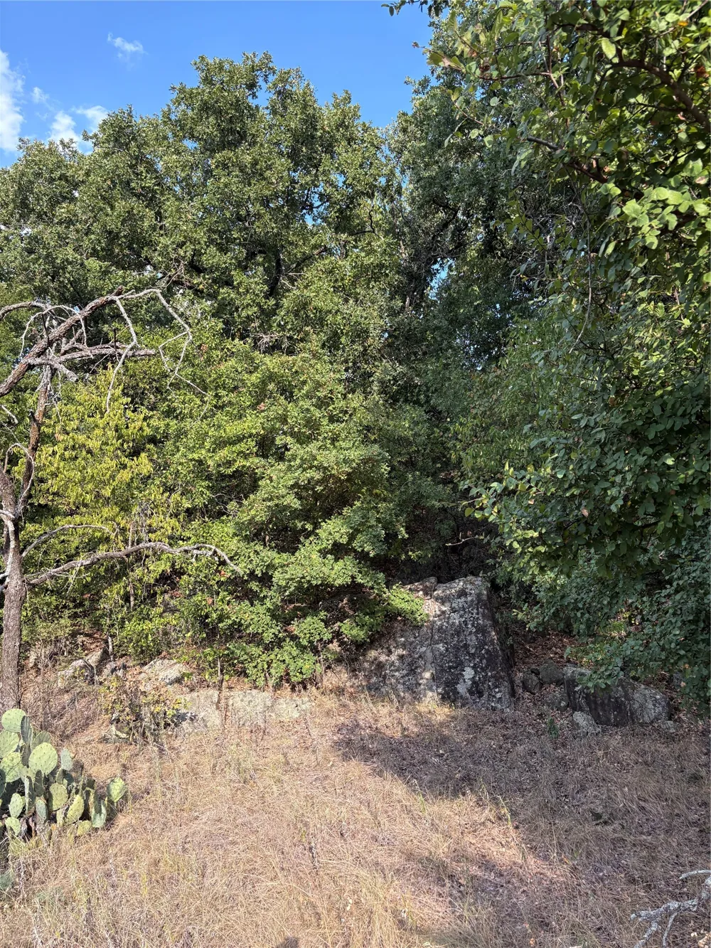 271 Wyatt Road Jacksboro, TX 76458