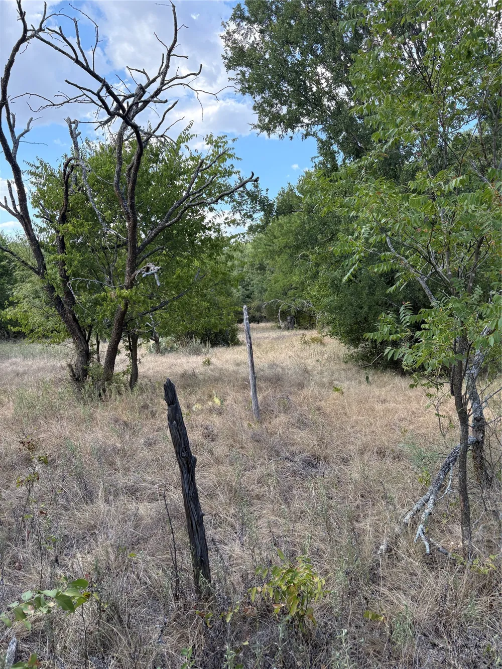 271 Wyatt Road Jacksboro, TX 76458