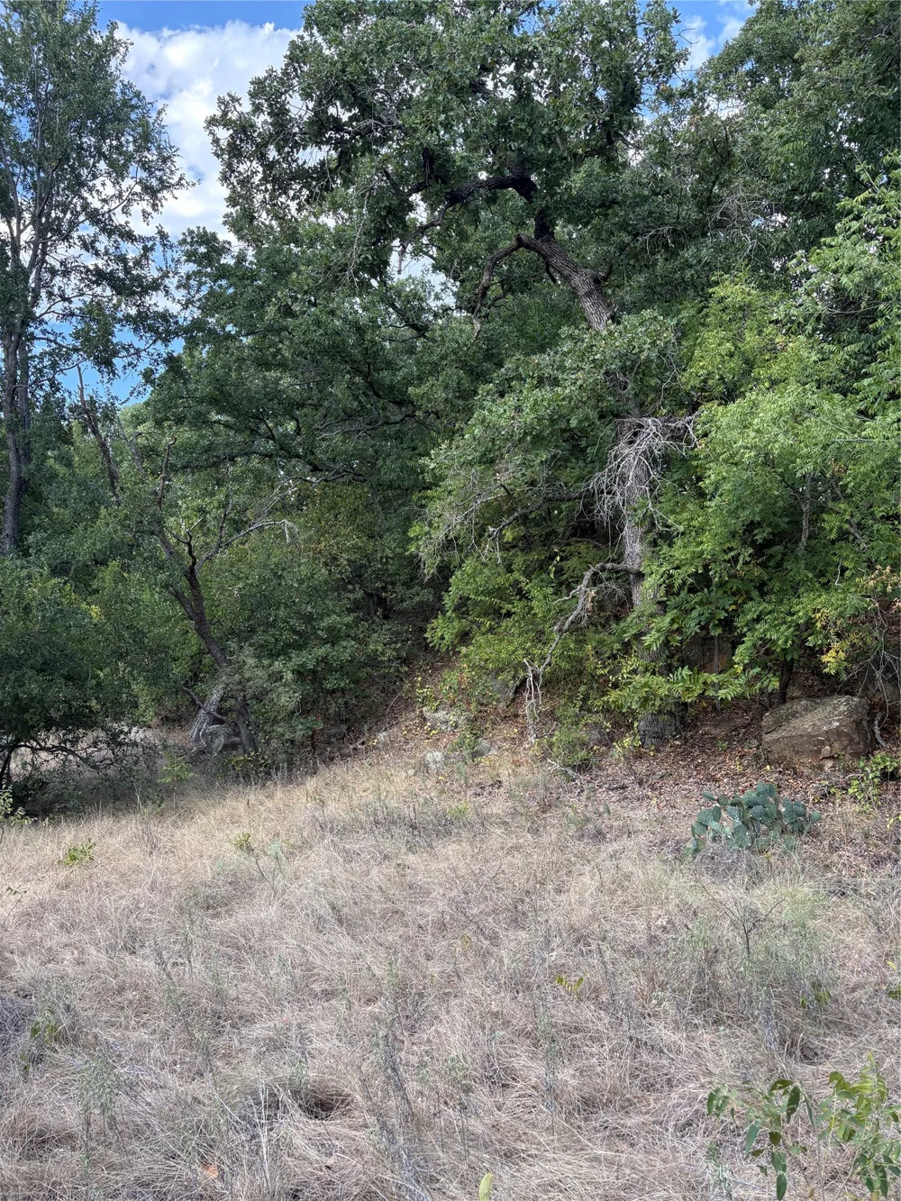 271 Wyatt Road Jacksboro, TX 76458