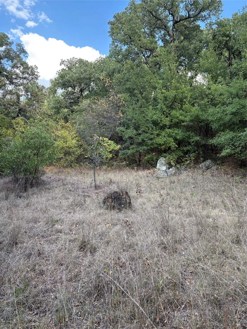 271 Wyatt Road Jacksboro, TX 76458