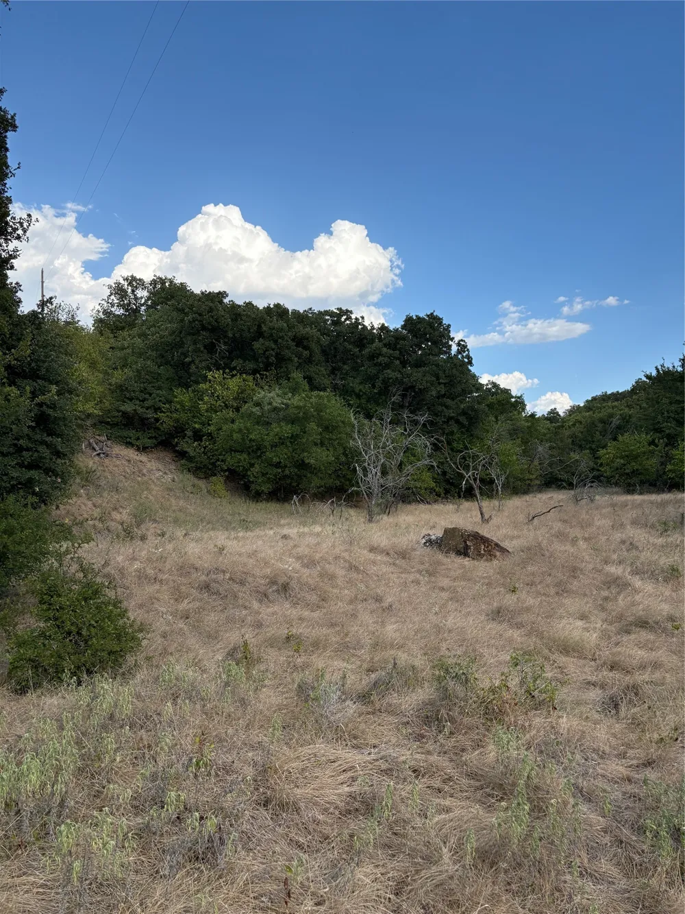271 Wyatt Road Jacksboro, TX 76458