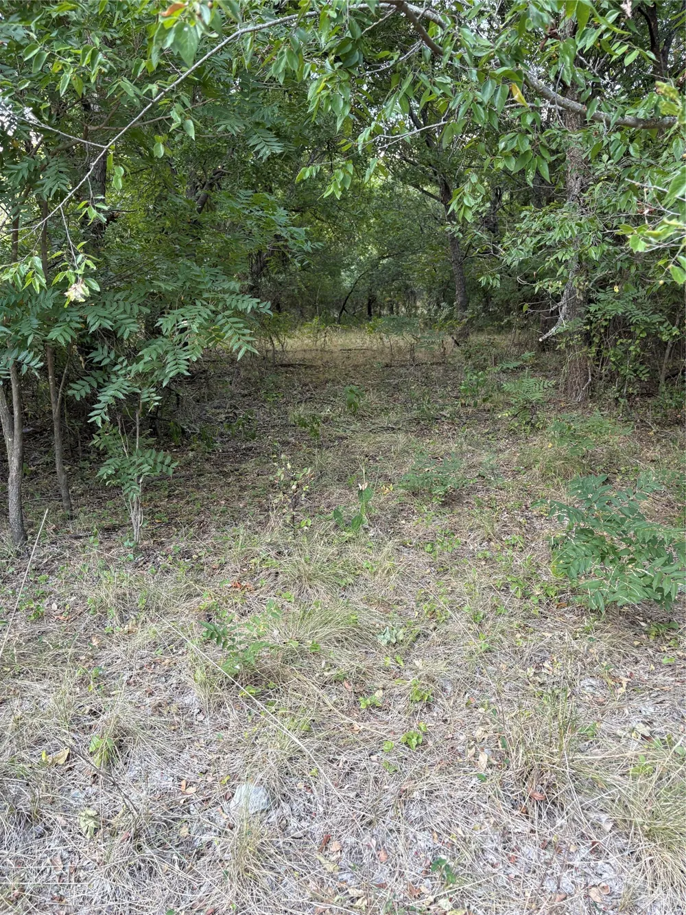 271 Wyatt Road Jacksboro, TX 76458