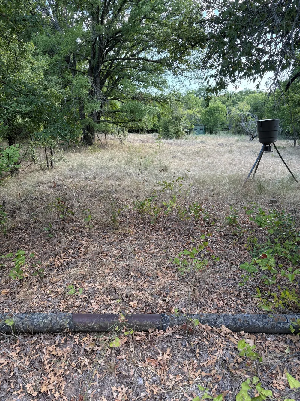 271 Wyatt Road Jacksboro, TX 76458