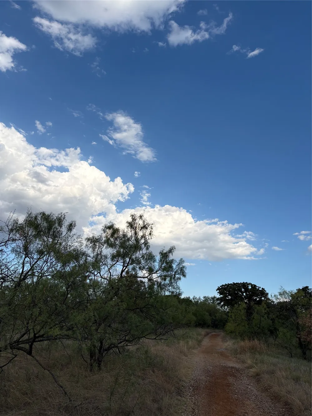 271 Wyatt Road Jacksboro, TX 76458