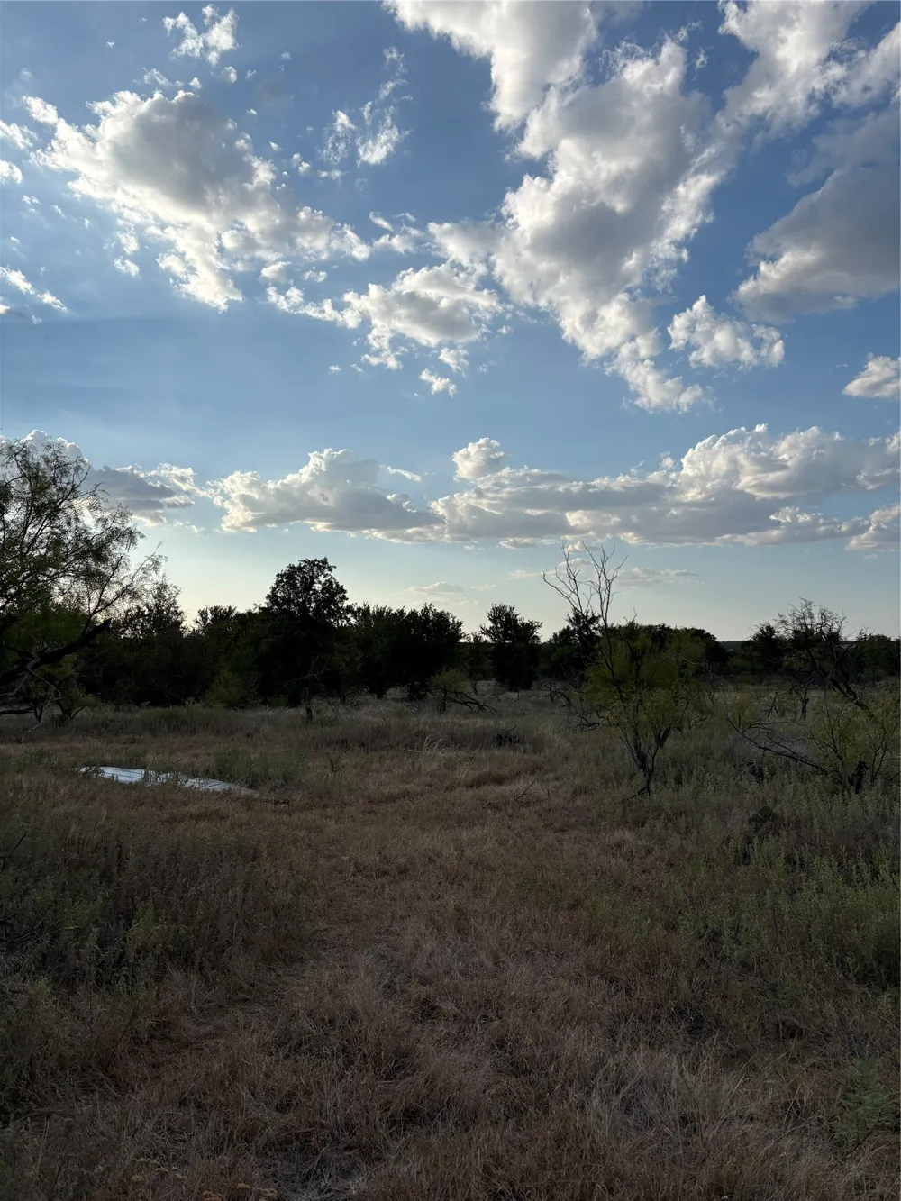 271 Wyatt Road Jacksboro, TX 76458