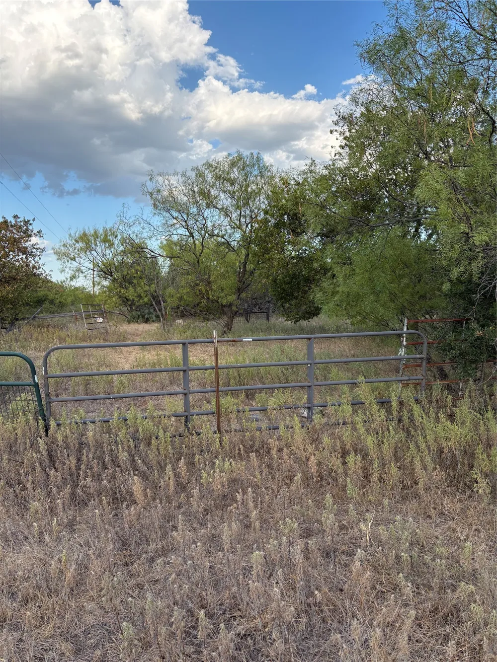 271 Wyatt Road Jacksboro, TX 76458