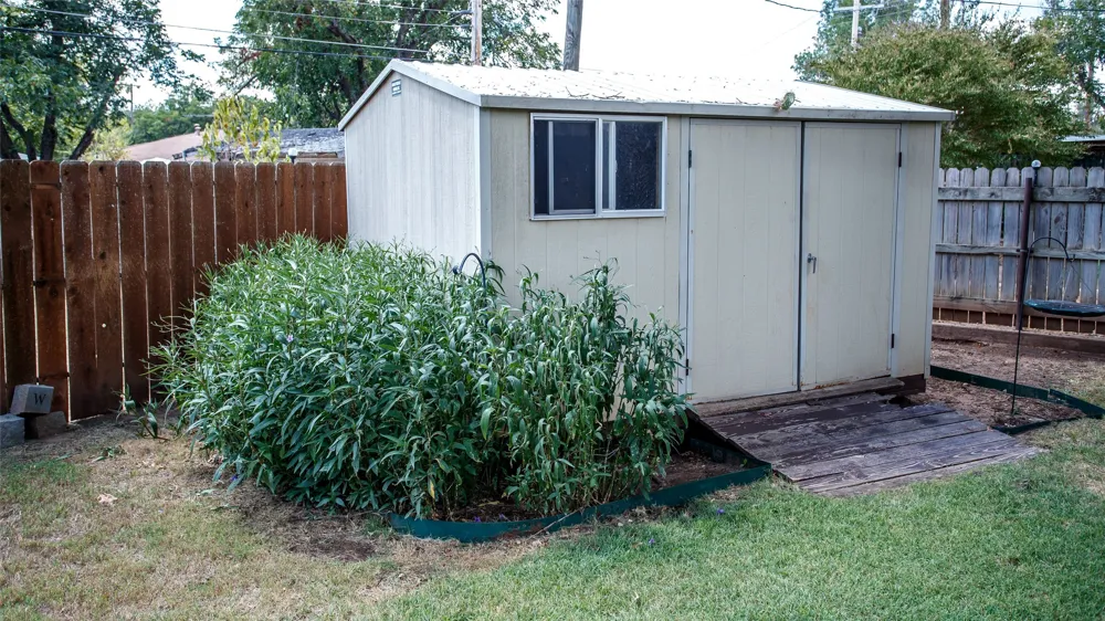 1009 W Edwards Olney, TX 76374